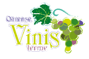 Logo VinisTerrae Ourense